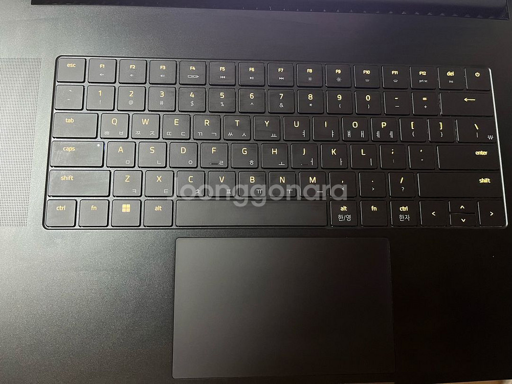 레이저 블레이드 프로 17 R3070T1tb32GB 팔--1