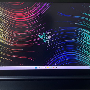 레이저 블레이드 프로 17 R3070T1tb32GB 팔