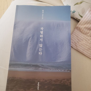 한강 작가 소설책 작별하지않는다