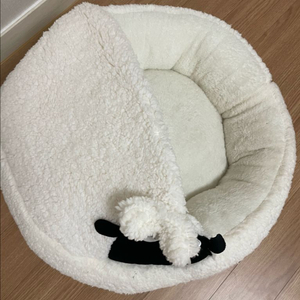 강아지 방석