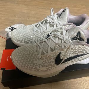 코비6 290