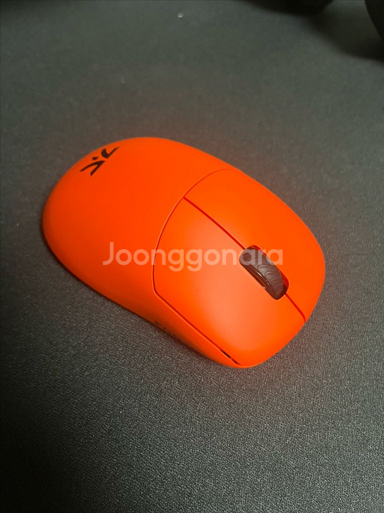 람주 쏜 프나틱에디션--0
