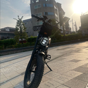 타우러스 BS슬릭 옐로우 판매합니당