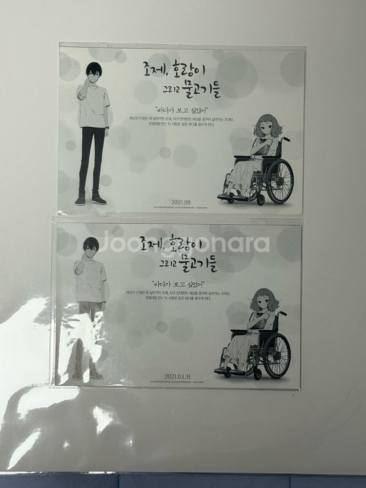 조제호랑이그리고물고기들 아크릴 3종--4
