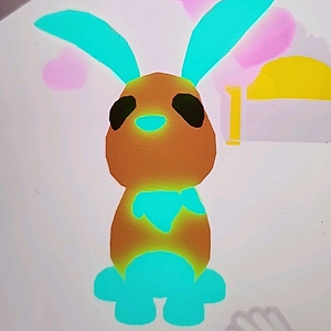 입양하세요펫 산토끼