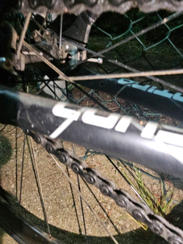 콘탄어베인24년식대차 이미지