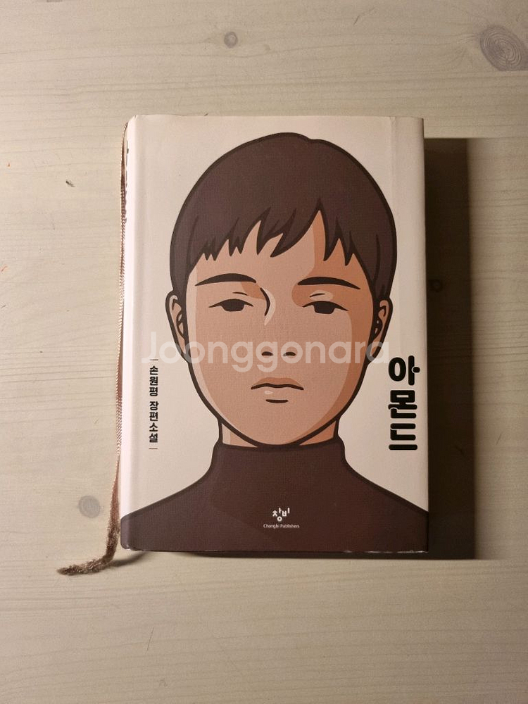아몬드 손원평--0