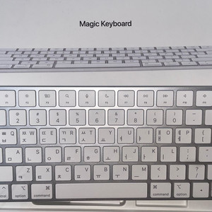 애플 매직키보드