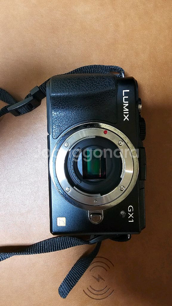 파나소닉 루믹스 DMC-GX1 카메라 팝니다.--0