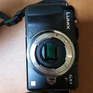 파나소닉 루믹스 DMC-GX1 카메라 팝니다.