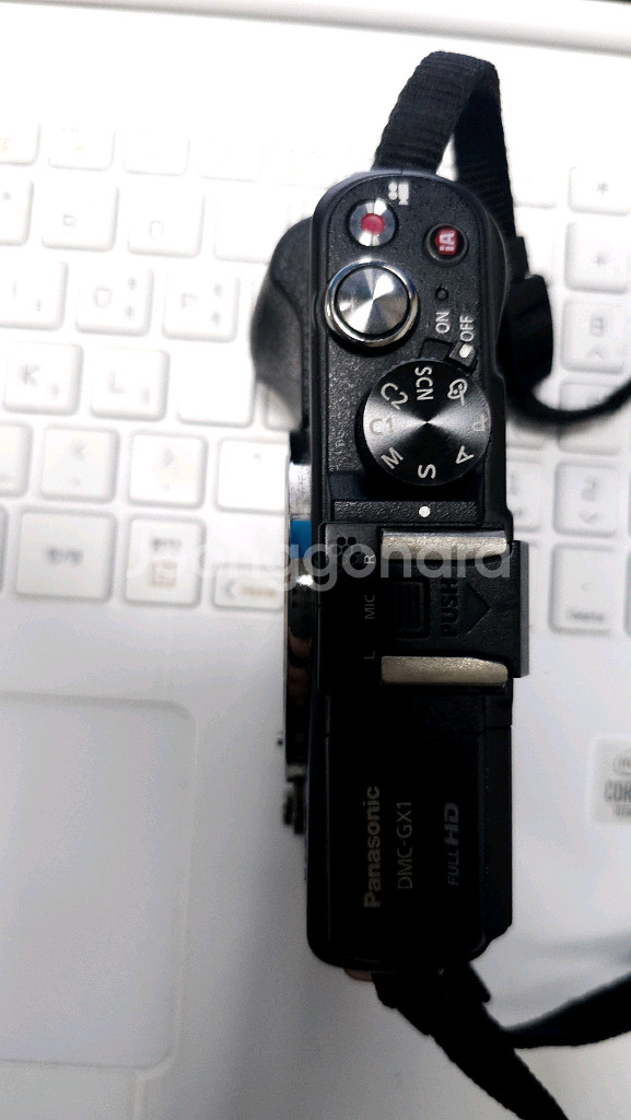 파나소닉 루믹스 DMC-GX1 카메라 팝니다.--2