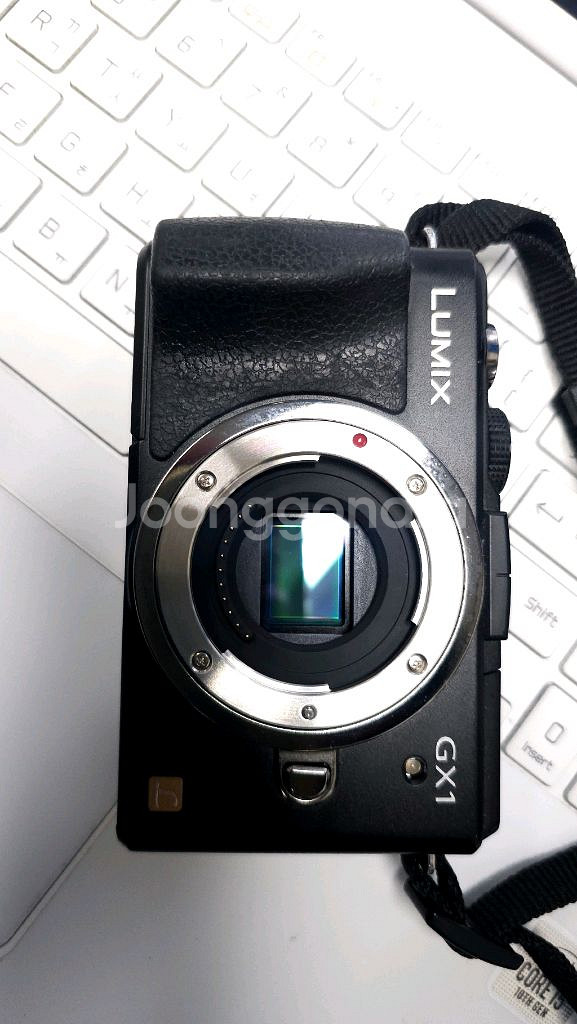 파나소닉 루믹스 DMC-GX1 카메라 팝니다.--3