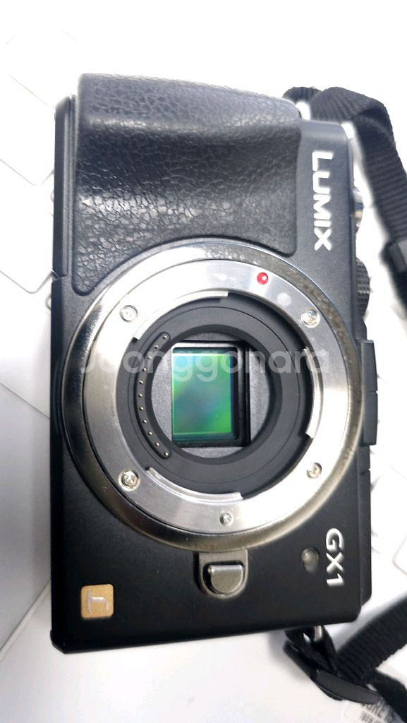 파나소닉 루믹스 DMC-GX1 카메라 팝니다.--1