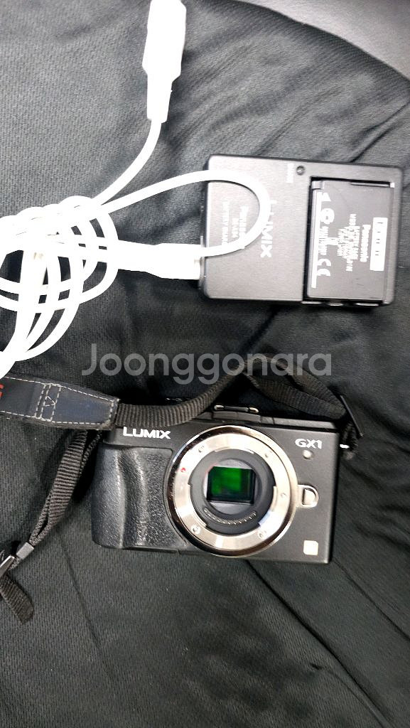 파나소닉 루믹스 DMC-GX1 카메라 팝니다.--4