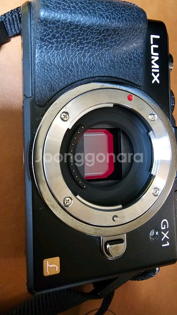 파나소닉 루믹스 DMC-GX1 카메라 팝니다.--8