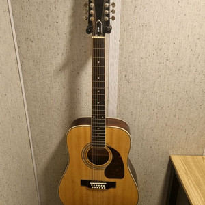 에피폰 DR-212/N 12현 팝니다