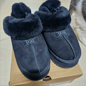 UGG 어그 플랫폼 슬리퍼 블랙 240-45 ( 38사