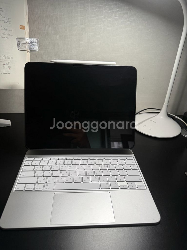 아이패드 프로 13 M4 블랙 256 wifi--1