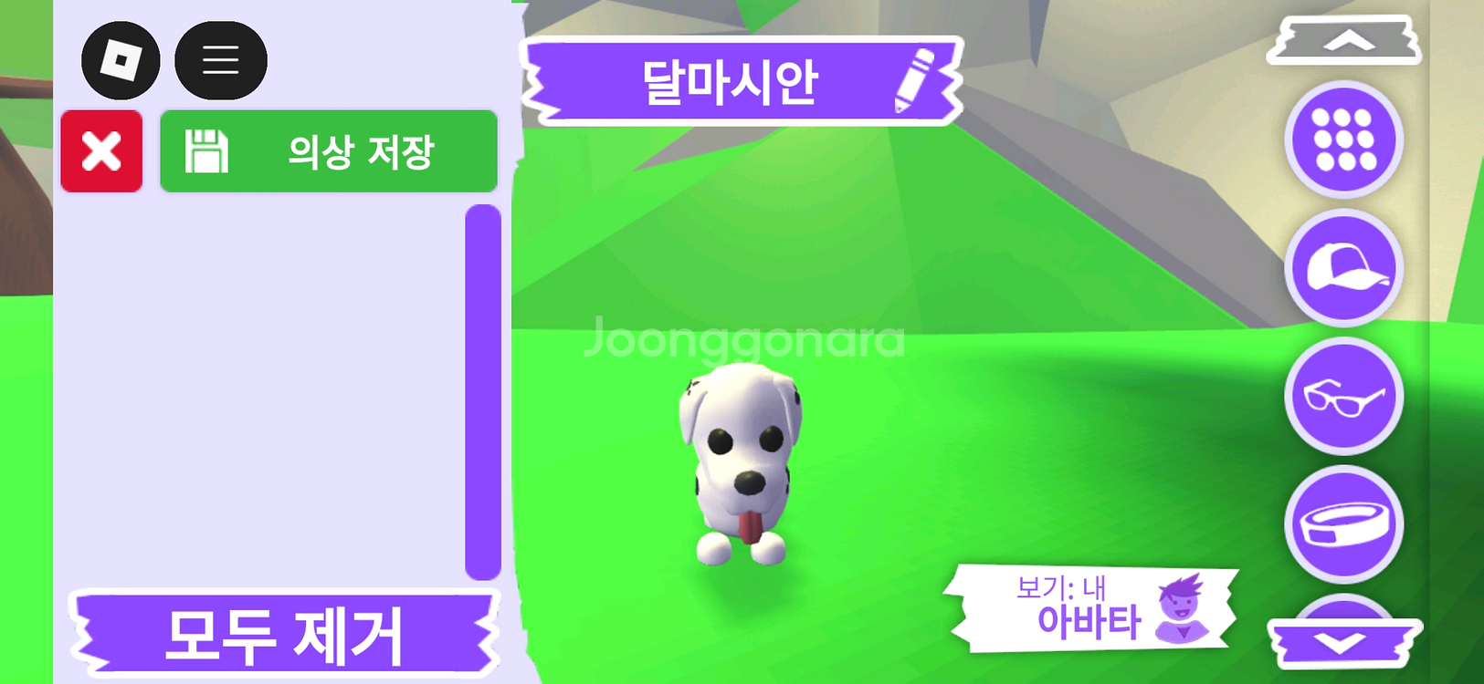 입양하세요 펫 달마시안 (산타강아지)(산강)판매합니다--0