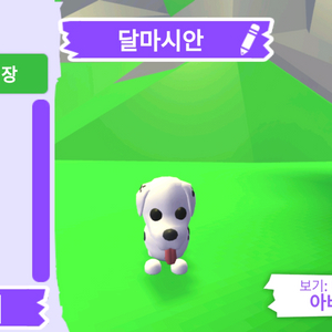 입양하세요 펫 달마시안 (산타강아지)(산강)판매합니다