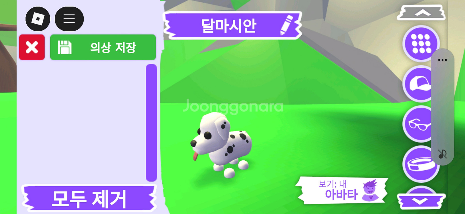 입양하세요 펫 달마시안 (산타강아지)(산강)판매합니다--2