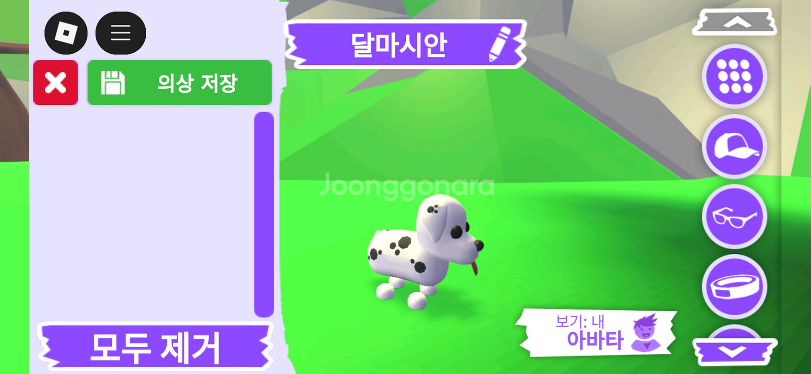 입양하세요 펫 달마시안 (산타강아지)(산강)판매합니다--1