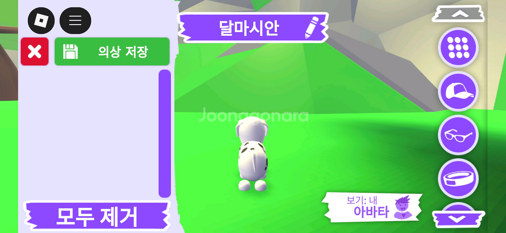 입양하세요 펫 달마시안 (산타강아지)(산강)판매합니다--3