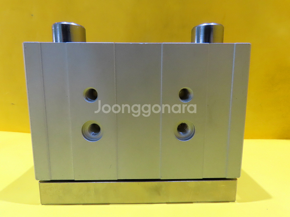 FESTO DFM-40-25 8118907 가이드실린더--5