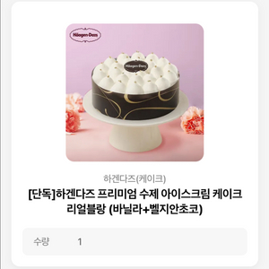 아이스크림 케이크(하겐다즈, 바닐라벨지안초코)