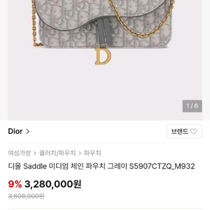 디올 Saddle 미디엄 체인파우치