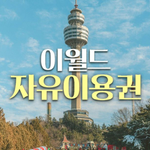 이월드 자유이용권 2매