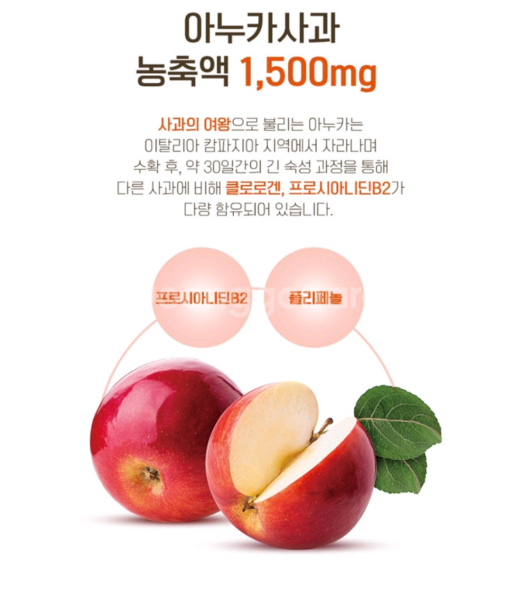 (무료배송) 아누카사과액상스틱--4