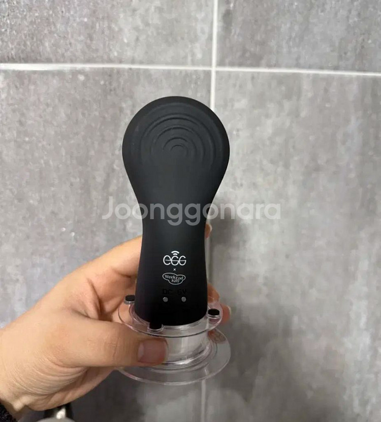 홍영기 에그 디바이스 콩알이--0