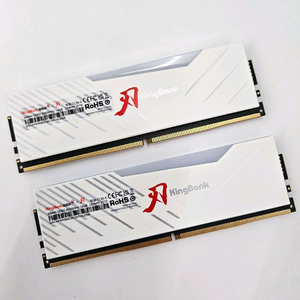 [킹뱅크] DDR5(2x16GB) (8000 cl36)