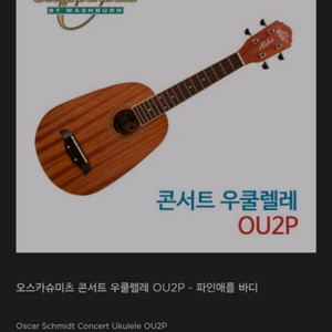 우쿨렐레 케이스 포함 마호가니 파인애플바디 소프라노 신