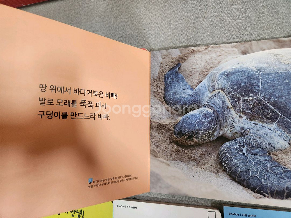 두두스토리 사운드북 +아기그림책--5