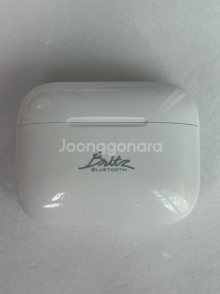 브리츠 ProPods5 이어폰--1