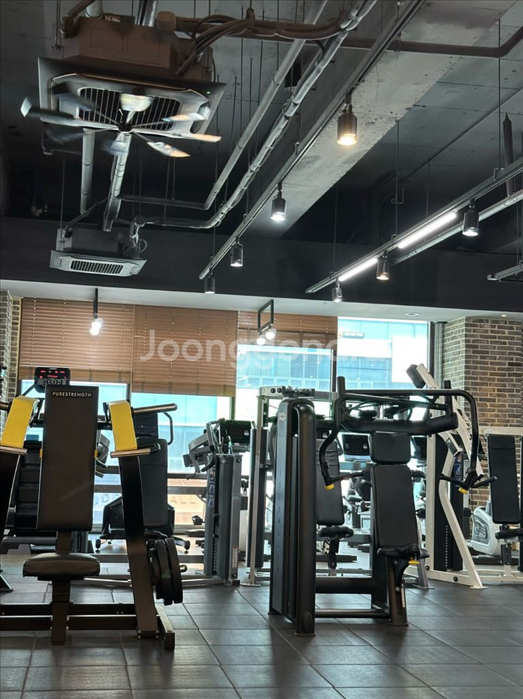 헬스보이짐 복대점 피티2회 무료나눔합니다--0