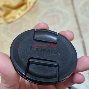 파나소닉 루믹스 20 60 렌즈 판매