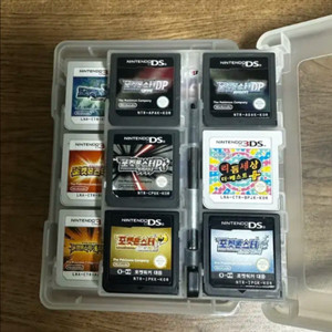 닌텐도DS 포켓몬칩