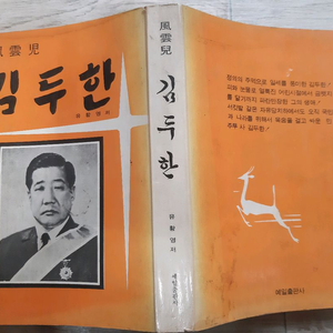 풍운아 김두한