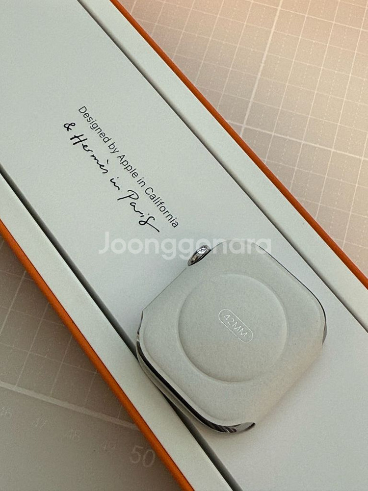 애플워치 10 에르메스 42mm + 애플케어 2028--3