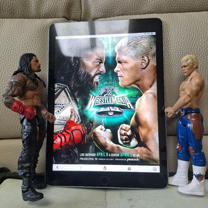 wwe. 코디ㆍ로만 피규어