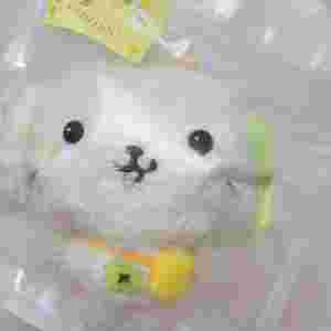 엔시티위시 위시돌 료 인형 룐룐 미개봉 시온 리쿠 유우
