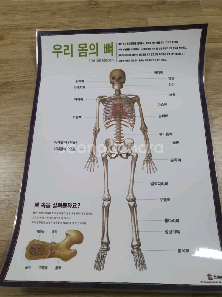 스티커북 교재 2권 학습 포스터 8장 택포만원--9