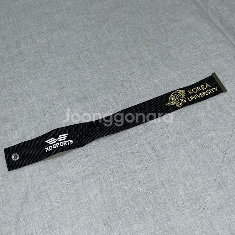 고려대학교 띠 고대--0