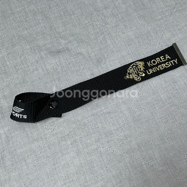 고려대학교 띠 고대--3