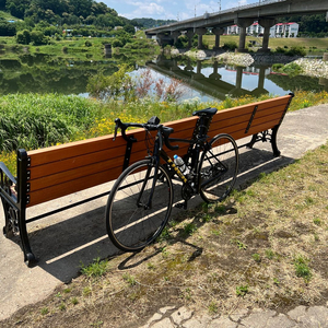 TREK 도마니 AL2 트렉 로드자전거