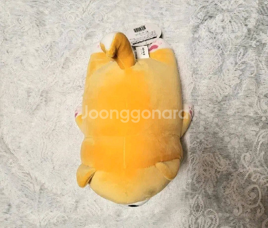 모찌시바 모찌인형 새제품--1