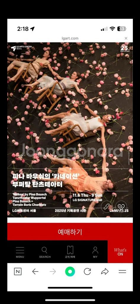피나 바우쉬 <카네이션> 부퍼탈 탄츠 테아터--0